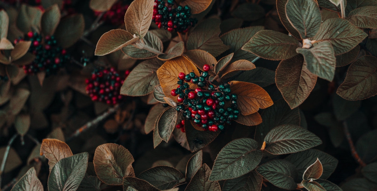 Lorem Ipsum has been the industry's Lorem Ipsum has been the industry's